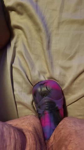 anal bad dragon dildo gif