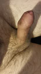 Foreskin covered cock twitched around
