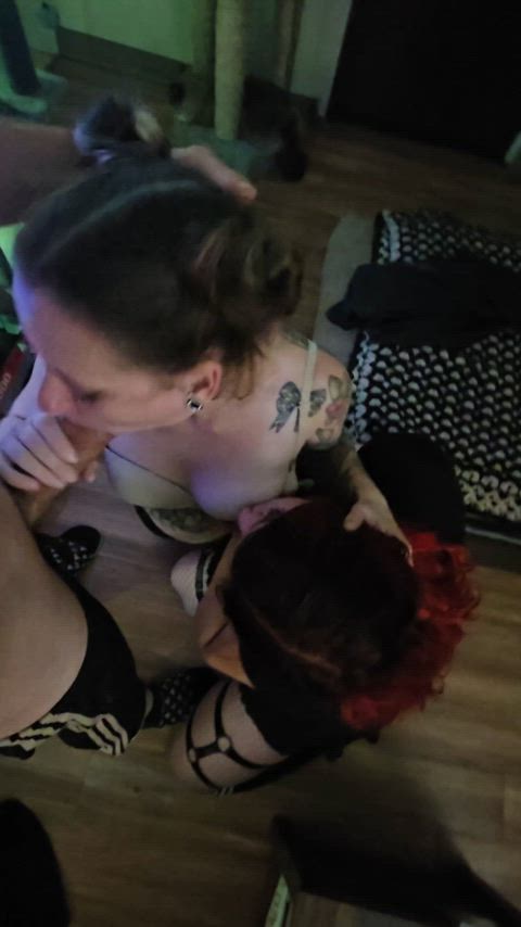 Nothing better then having two sluts gagging on your cock 