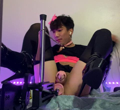 trans lingerie femboy asian sissy sissy slut gif