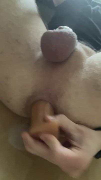 Butt Plug Chastity Creampie Porn GIF by bubbl3buttboy