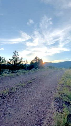 Come on a run with me?