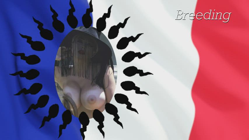 BBC Blowjob Breeding Creampie Cumshot French Hands Free Interracial Swingers gif