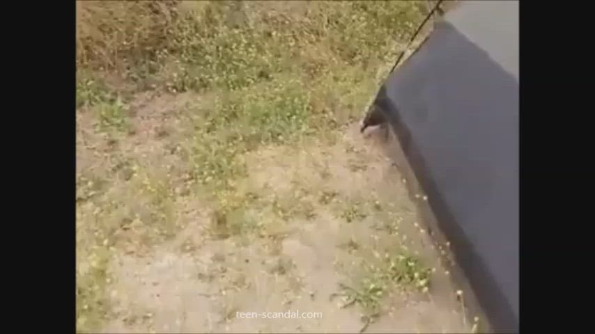 amateur caught voyeur gif