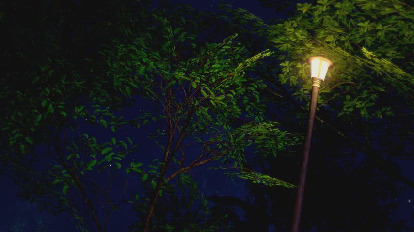 The sisters enjoying a nice night in the park.