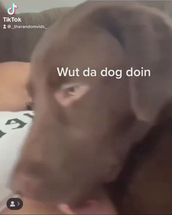Breast Sucking Dogging Doggystyle gif