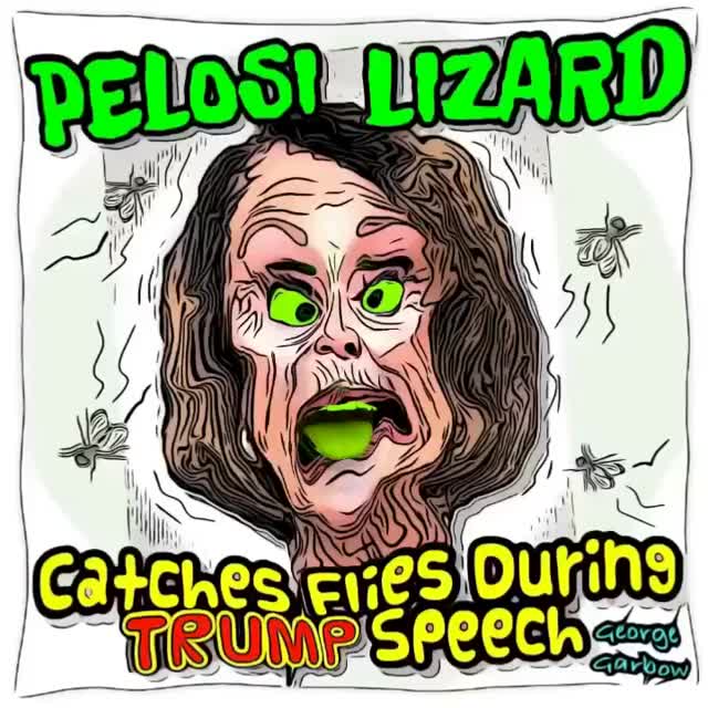 Nancy Pelosi