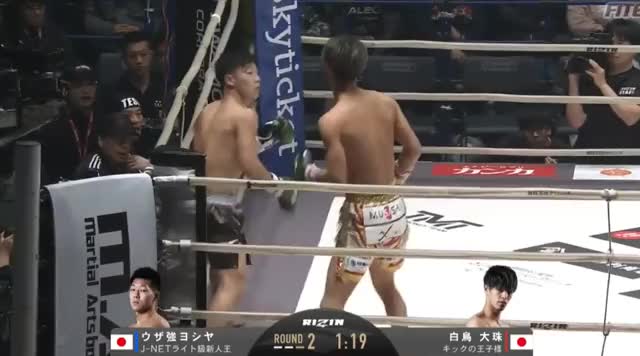 Taiju Shiratori knocks down Uzatsuyo (RIZIN: Yarennoka!)
