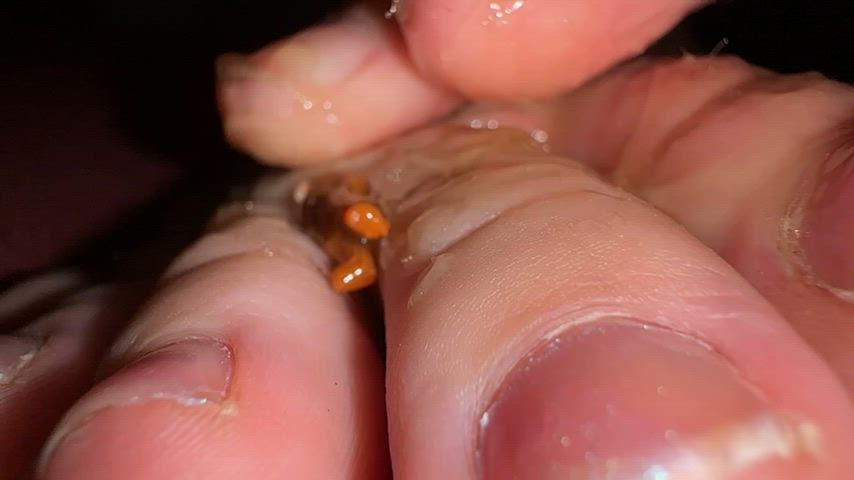 feet feet fetish foot foot fetish giantess tiny waxing giantess-irl gif