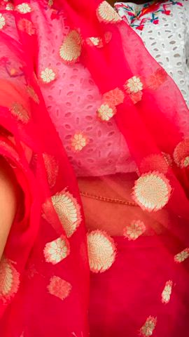 nipples punjabi saree gif