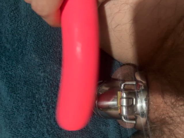 chastity chastity belt cuckold gif