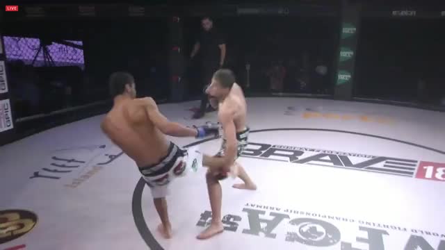 Anzor Abdulkhozjaev starts the night off with a TKO GNP! Brave CF 18