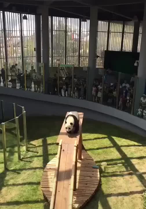 panda roll