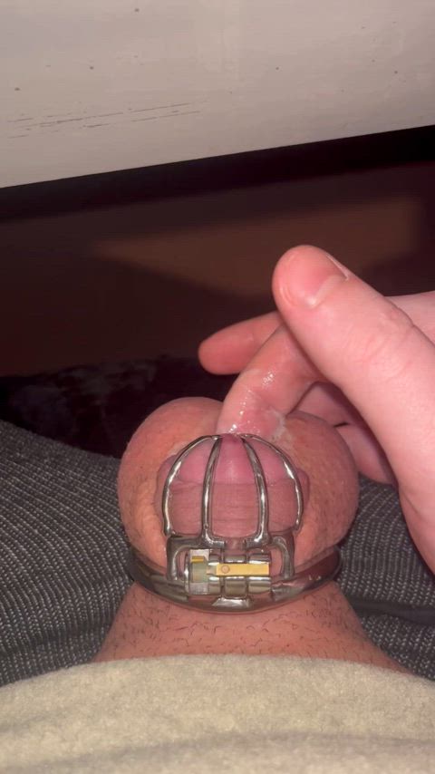 Edging in my cage