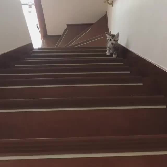 whoa, how'd he do that?