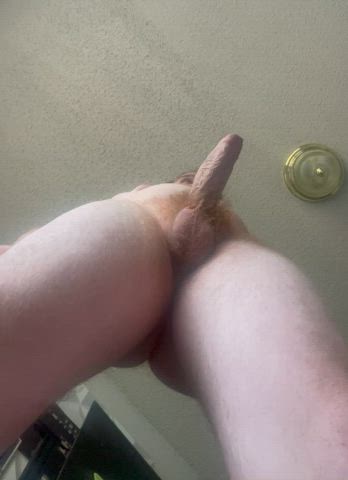 Lick your way up. My dick looks so veiny here I like it