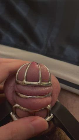 chastity gay precum gif