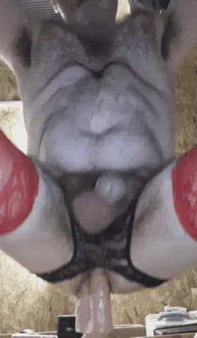 ass dildo gay gif