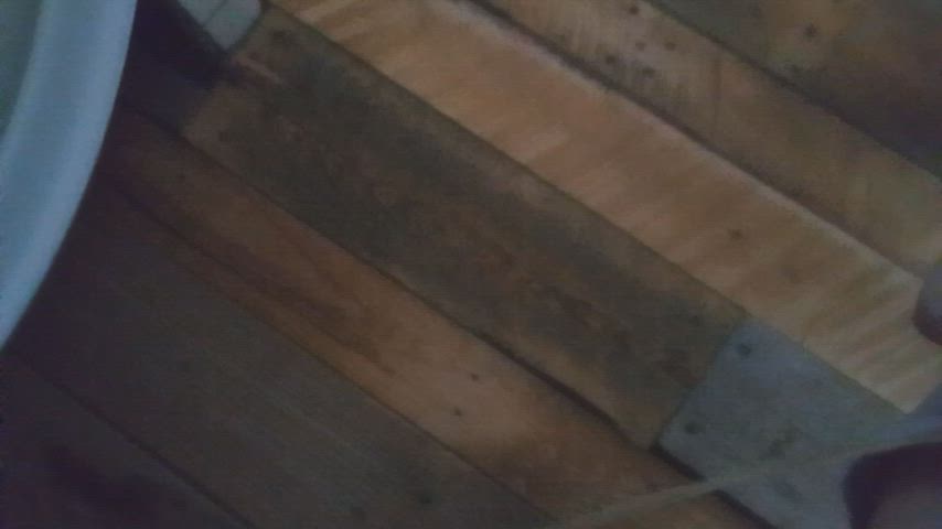 cock pee peeing gif