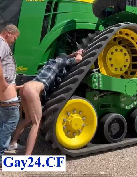 anal bear gay gif