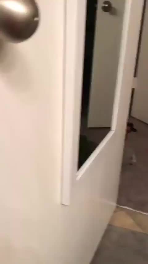 6br4H3b - Imgur