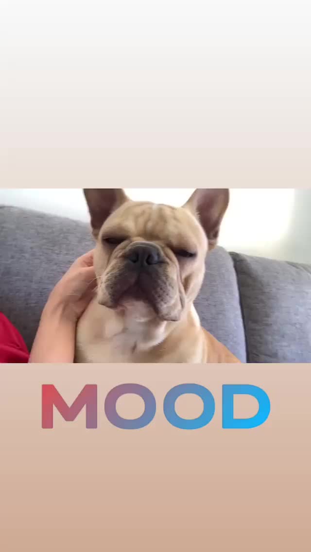 angievarona 2019-04-30 22:09:35.972