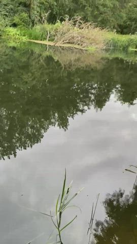 Pissing at the river