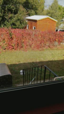 dress outdoor sissy gif