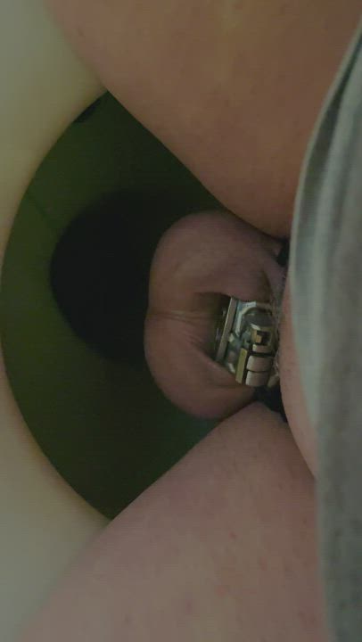 Chastity Pissing Sissy gif