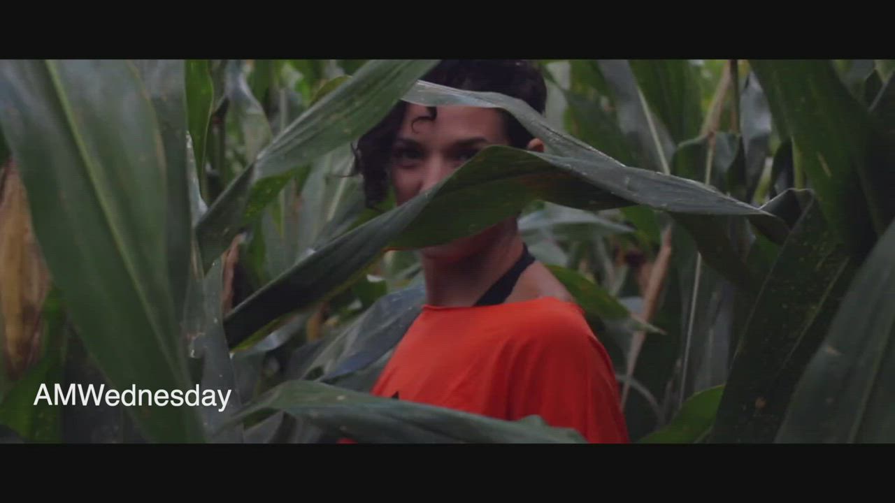 Cornfield Music Video