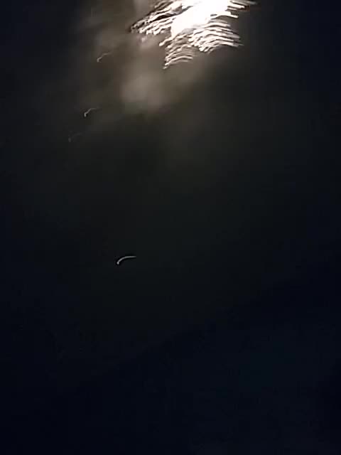 co