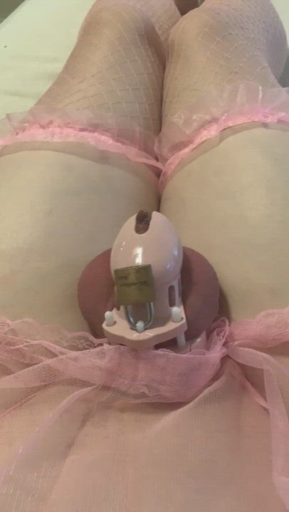 Chastity Crossdressing Femboy Sissy gif