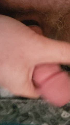 Bunny Cock Edging gif