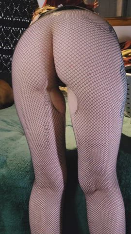 Amateur Ass Female Fishnet OnlyFans Pale Solo Tease gif