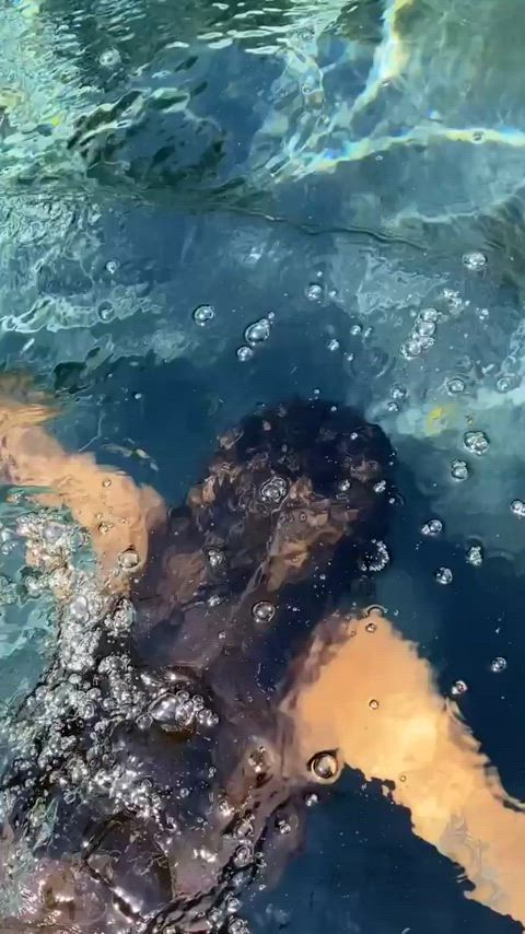 anitta big ass big tits bikini brazilian brunette celebrity thong wet gif