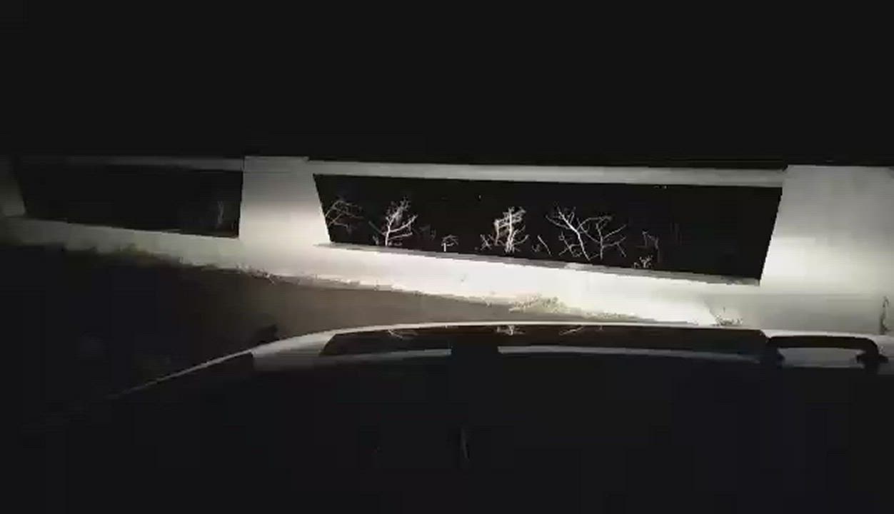 Cock Male Masturbation Public gif