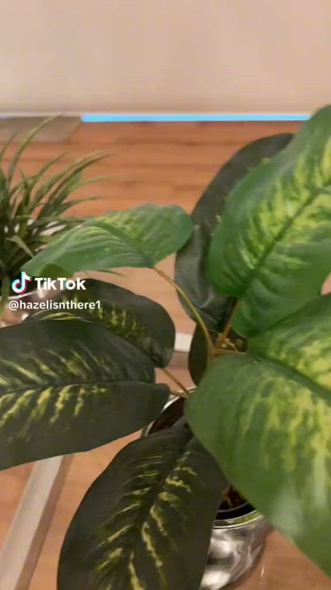boobs flashing nipples nipslip tiktok r/tiktits gif
