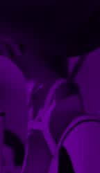 Masturbating Stripper Tease Porn GIF by bugabooskin