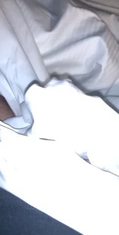 cock cum precum gif
