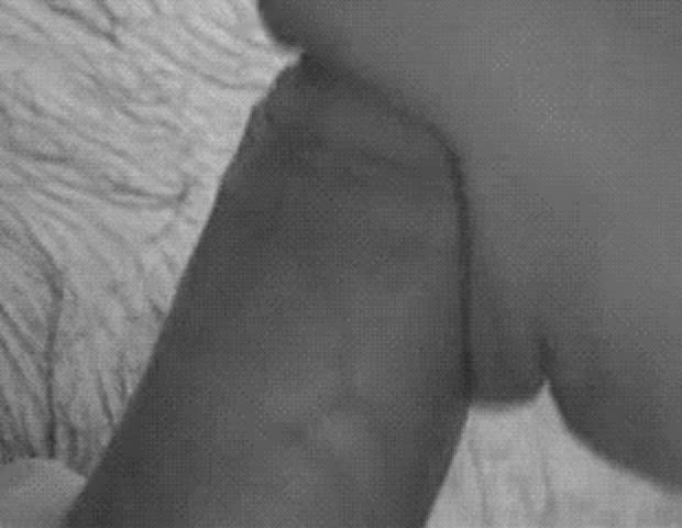 Blowjob Erotic Sucking gif