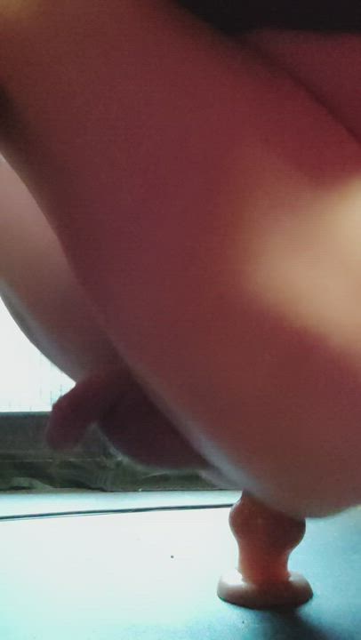Asshole Dogging Fuck Machine gif